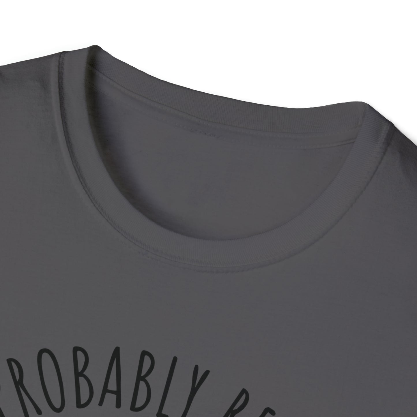 I'm Probably Reading Something Smutty Unisex Softstyle T-Shirt