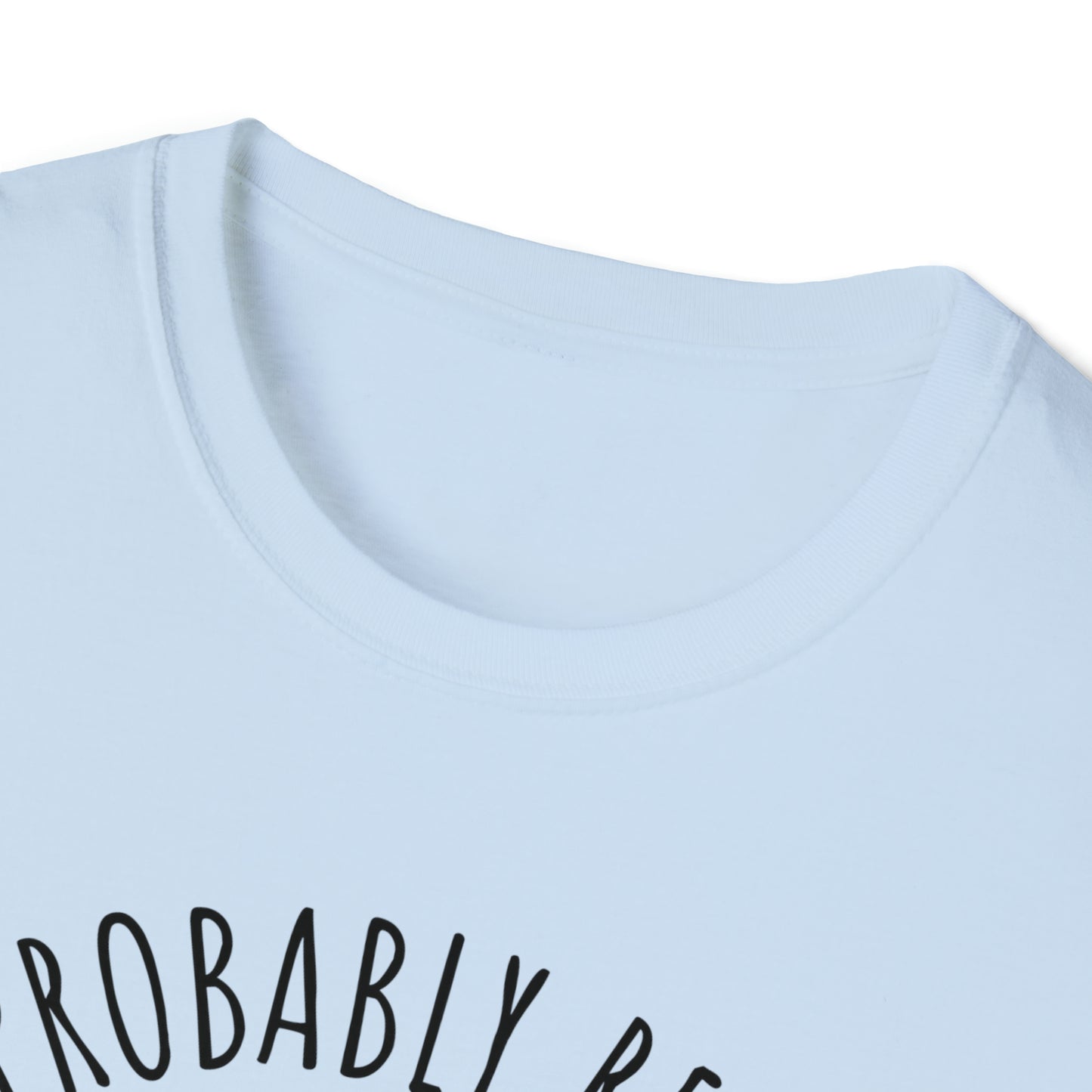 I'm Probably Reading Something Smutty Unisex Softstyle T-Shirt