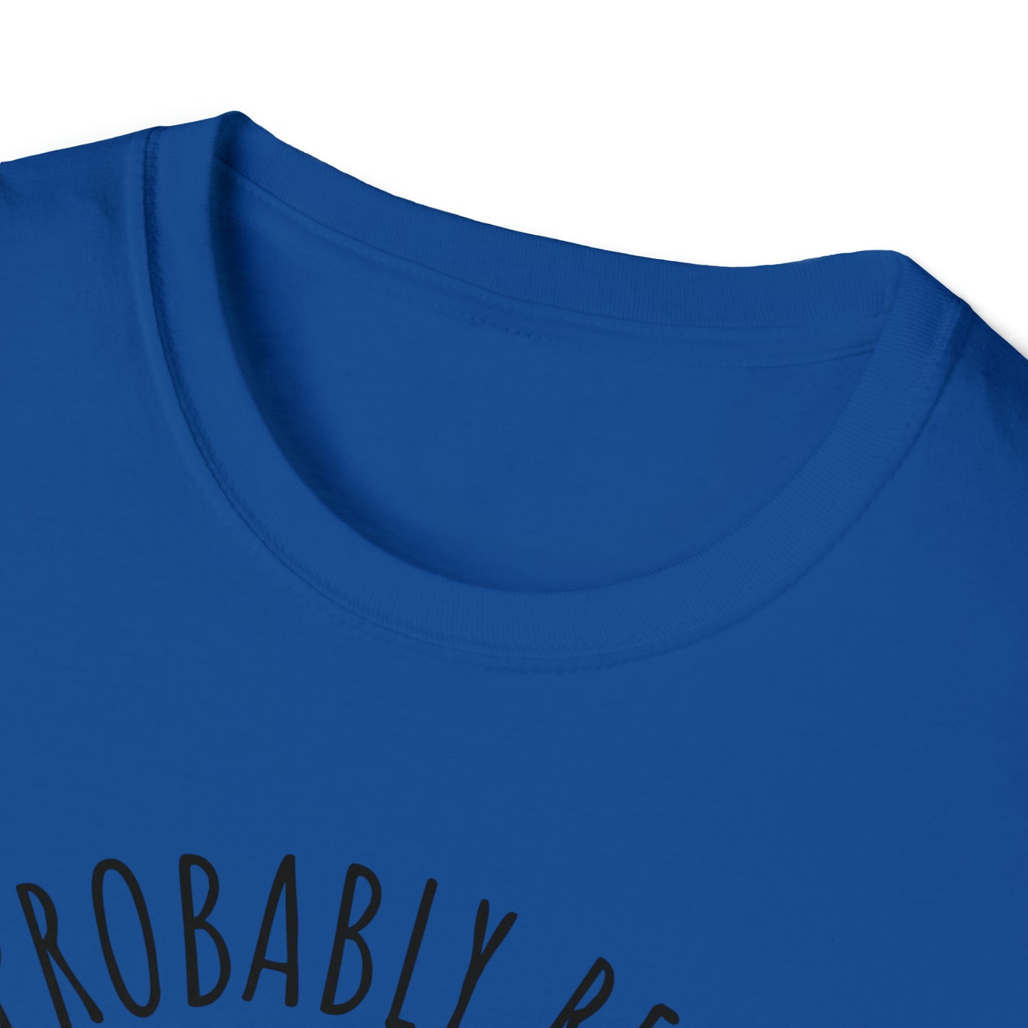 I'm Probably Reading Something Smutty Unisex Softstyle T-Shirt