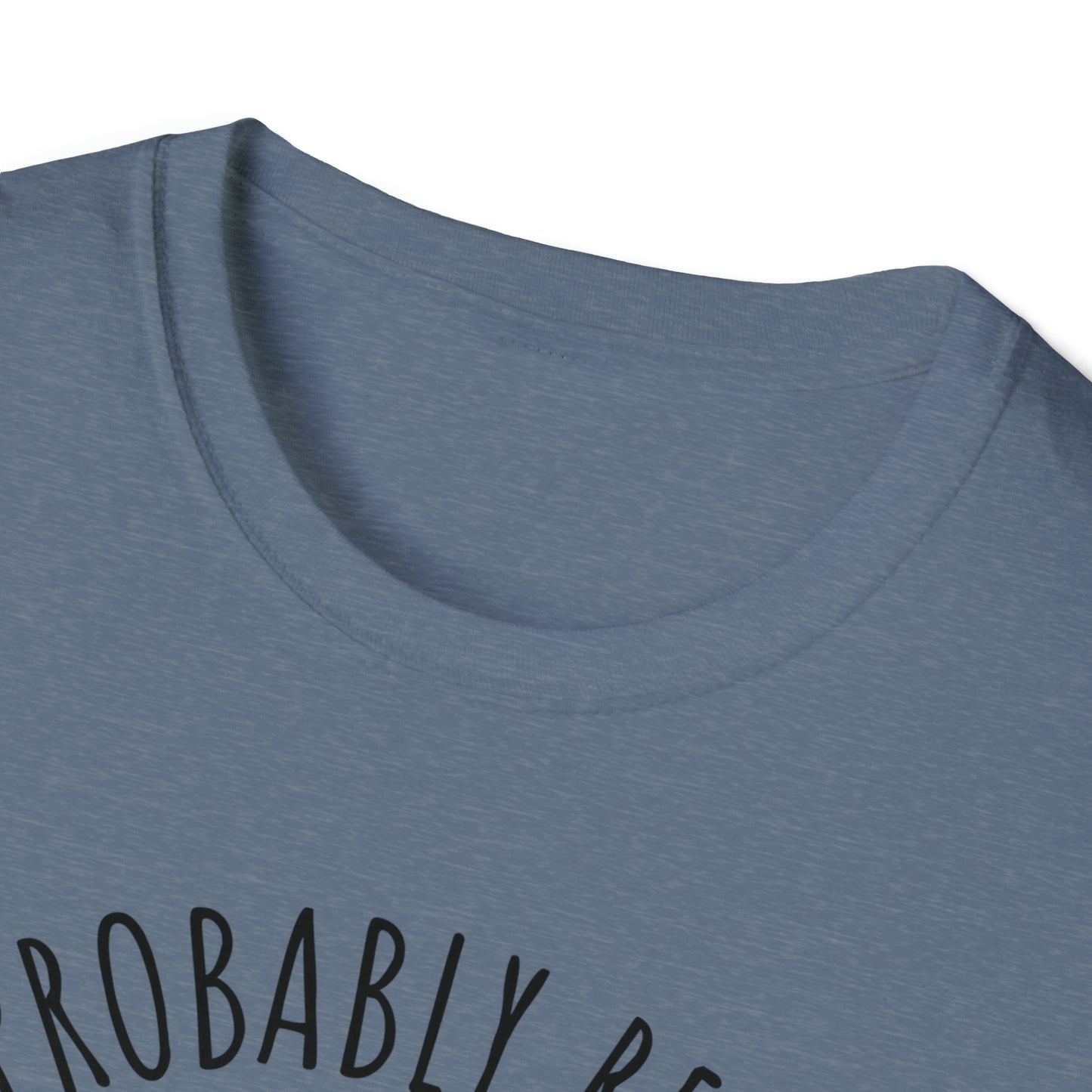 I'm Probably Reading Something Smutty Unisex Softstyle T-Shirt