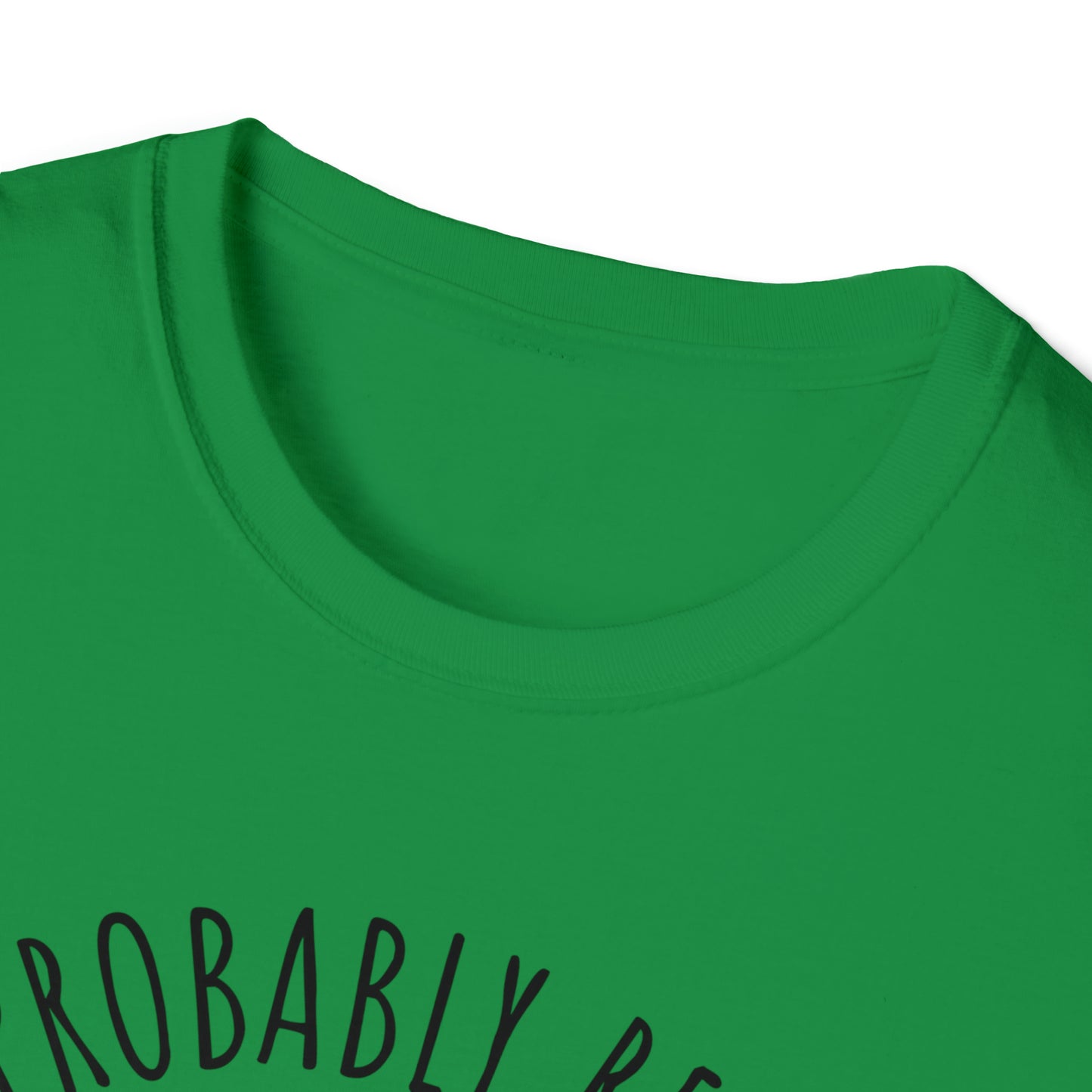 I'm Probably Reading Something Smutty Unisex Softstyle T-Shirt