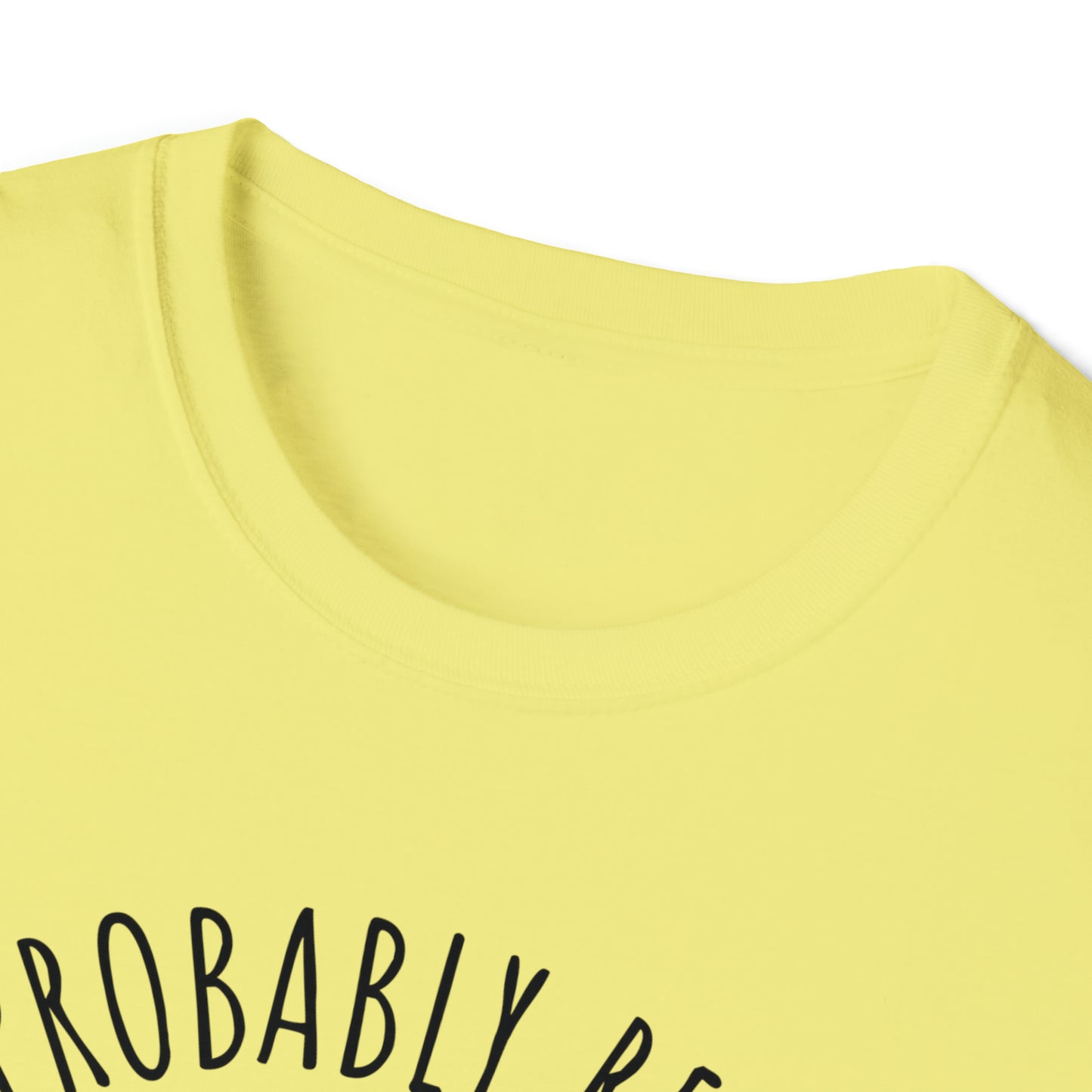 I'm Probably Reading Something Smutty Unisex Softstyle T-Shirt