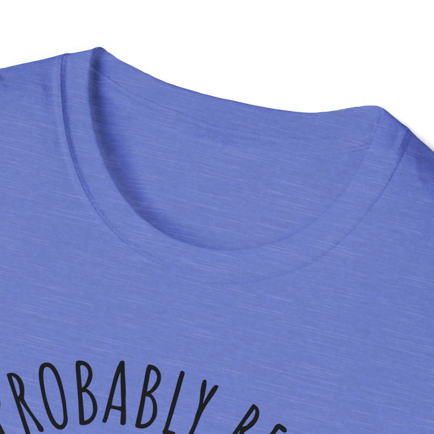 I'm Probably Reading Something Smutty Unisex Softstyle T-Shirt