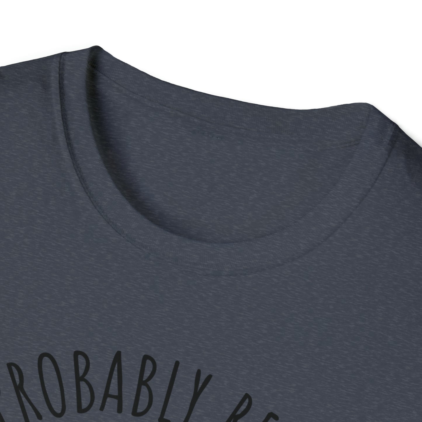 I'm Probably Reading Something Smutty Unisex Softstyle T-Shirt