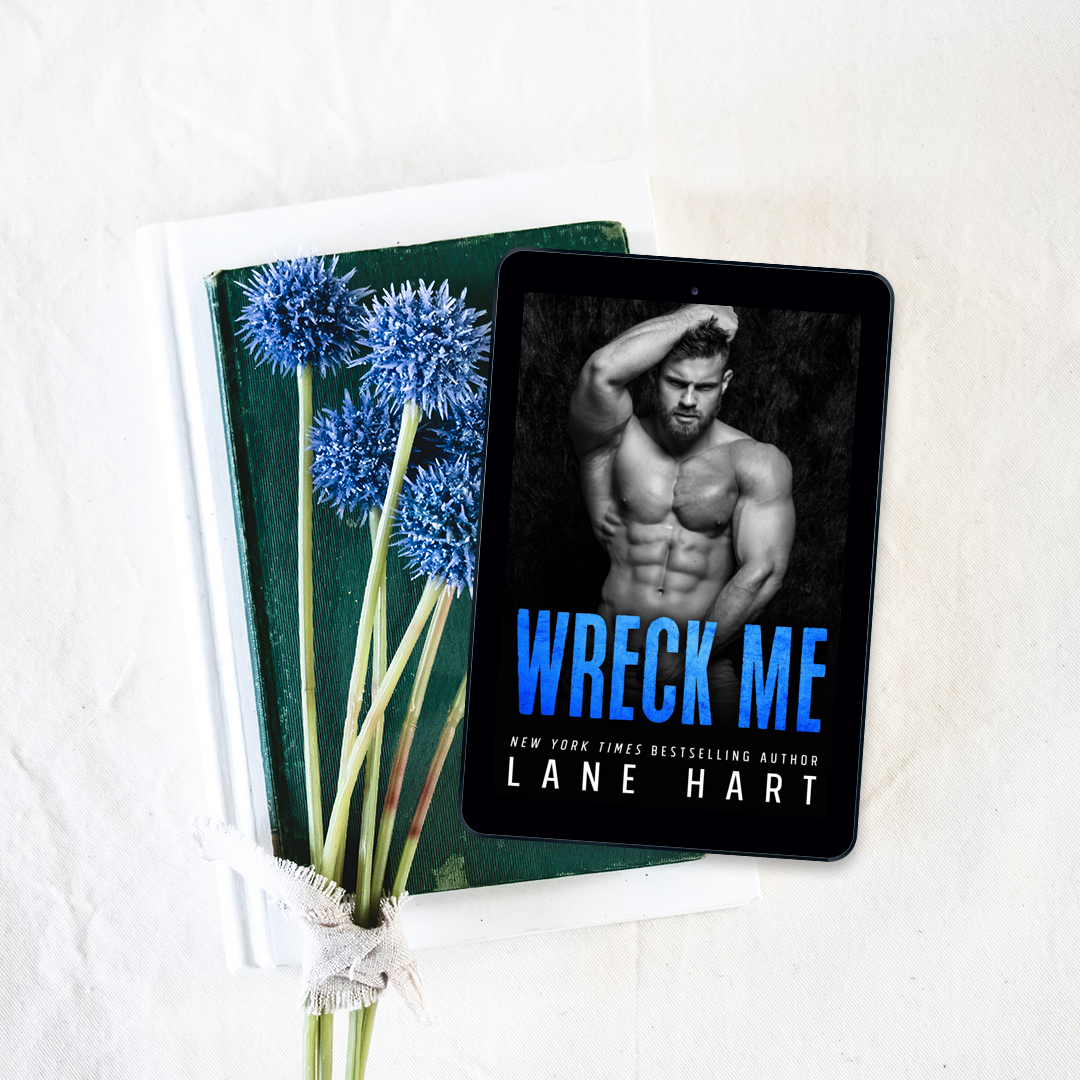 Wreck Me: A Standalone Age Gap Romance
